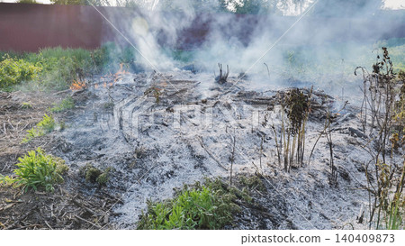 Fire burning dry grass and branches, producing smoke and ash Fire burning dry grass and branches, producing smoke and ash 140409873