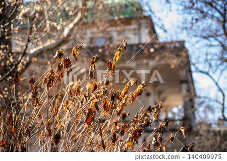 Dry plants in front of a blurred historic building Dry plants in front of a blurred historic building 140409975