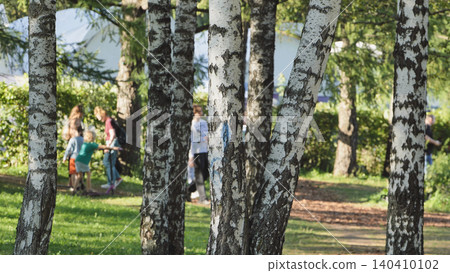 Birch trees creating natural screen with kids playing inside a park on a sunny day Birch trees creating natural screen with kids playing inside a park on a sunny day 140410102