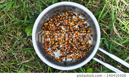 Colorado potato beetles and larvae frying in a metal pot over grass, illustrating unusual protein sources and pest control 140410308