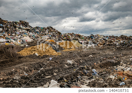 Landfill pollution creating environmental crisis, birds scavenging against a cloudy sky Landfill pollution creating environmental crisis, birds scavenging against a cloudy sky 140410731
