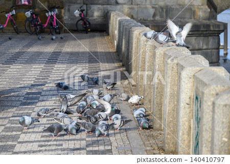 Pigeons feeding by a stone riverside walkway 140410797