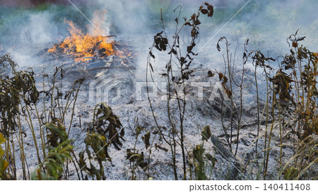 Fire burning dry grass and creating a lot of smoke Fire burning dry grass and creating a lot of smoke 140411408
