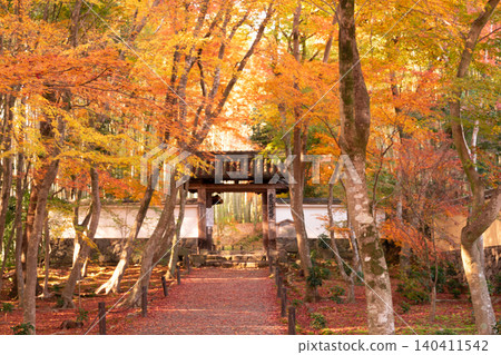 I photographed the autumn leaves at Jizoin Temple, commonly known as Takedera (Bamboo Temple), in Nishikyo Ward, Kyoto City. I photographed the autumn leaves at Jizoin Temple, commonly known as Takedera (Bamboo Temple), in Nishikyo Ward, Kyoto City. 140411542