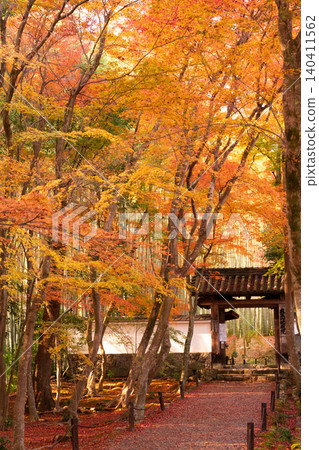 我在京都市西京區的地藏院(俗稱竹寺)拍攝了秋葉。 我在京都市西京區的地藏院(俗稱竹寺)拍攝了秋葉。 140411562
