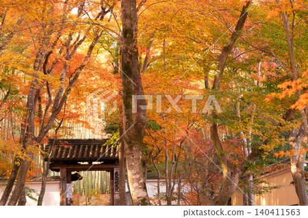 I photographed the autumn leaves at Jizoin Temple, commonly known as Takedera (Bamboo Temple), in Nishikyo Ward, Kyoto City. 140411563
