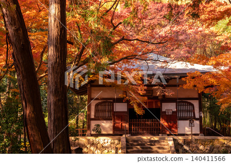 I photographed the autumn leaves at Jizoin Temple, commonly known as Takedera (Bamboo Temple), in Nishikyo Ward, Kyoto City. I photographed the autumn leaves at Jizoin Temple, commonly known as Takedera (Bamboo Temple), in Nishikyo Ward, Kyoto City. 140411566