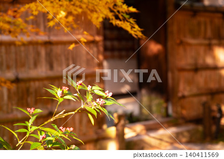 我在京都市西京區的地藏院(俗稱竹寺)拍攝了秋葉。 我在京都市西京區的地藏院(俗稱竹寺)拍攝了秋葉。 140411569