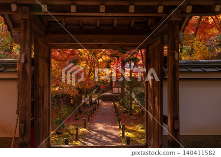 I photographed the autumn leaves at Jizoin Temple, commonly known as Takedera (Bamboo Temple), in Nishikyo Ward, Kyoto City. I photographed the autumn leaves at Jizoin Temple, commonly known as Takedera (Bamboo Temple), in Nishikyo Ward, Kyoto City. 140411582