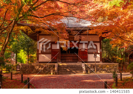 I photographed the autumn leaves at Jizoin Temple, commonly known as Takedera (Bamboo Temple), in Nishikyo Ward, Kyoto City. I photographed the autumn leaves at Jizoin Temple, commonly known as Takedera (Bamboo Temple), in Nishikyo Ward, Kyoto City. 140411585