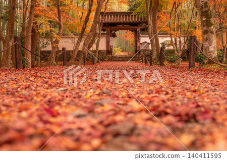 I photographed the autumn leaves at Jizoin Temple, commonly known as Takedera (Bamboo Temple), in Nishikyo Ward, Kyoto City. 140411595