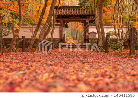 我在京都市西京區的地藏院(俗稱竹寺)拍攝了秋葉。 我在京都市西京區的地藏院(俗稱竹寺)拍攝了秋葉。 140411596