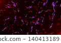 Microscopic view of infectious Ebola Virus cells (virions) and red blood cells flowing through the human bloodstream.  140413189