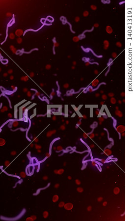 Microscopic view of infectious Ebola Virus cells (virions) and red blood cells flowing through the human bloodstream.  140413191