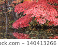 鮮紅的秋葉和池塘 140413266