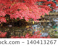 鮮紅的秋葉和池塘 140413267