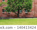Large trees with fresh green leaves and red brick buildings 140413424