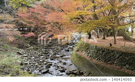 Landscape with autumn leaves Landscape with autumn leaves 140414093