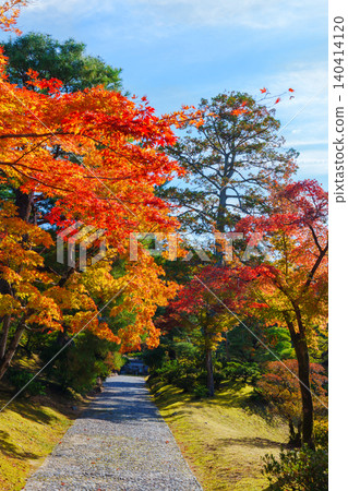 桂離宮的秋景：從禦道眺望紅葉山。 140414120
