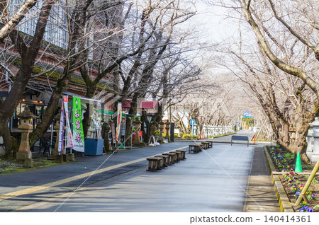 鹿兒島知然和平紀念館(為紀念神風特攻隊飛行員而建)前綠樹成蔭的街道景色。 鹿兒島知然和平紀念館(為紀念神風特攻隊飛行員而建)前綠樹成蔭的街道景色。 140414361