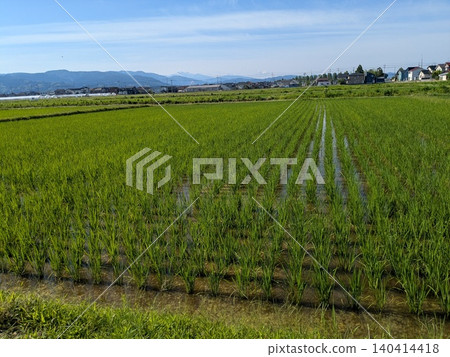 Country 1 Country 1 140414418