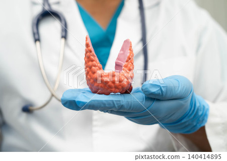 Hyperthyroidism, Overactive Thyroid, Thyroid Lymphoma, Asian doctor with thyroid gland human anatomy model in hospital. 140414895