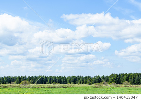 Grassland, forest, and wide sky (nature image) Grassland, forest, and wide sky (nature image) 140415047