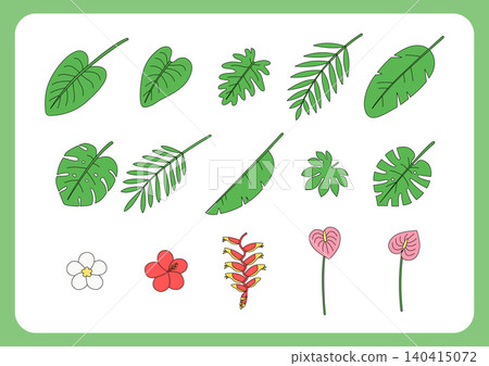 Vector illustration of a tropical plants. 140415072