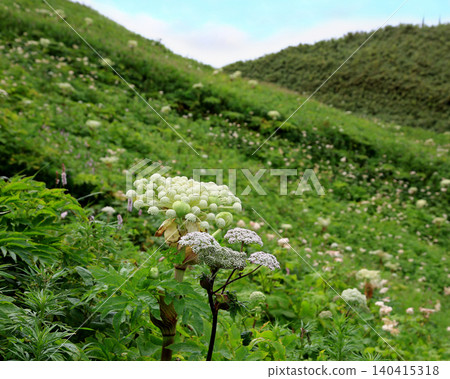 Trekking around Reebokshima Cape Hokkaido 140415318
