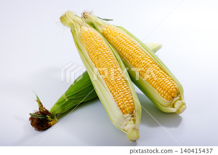 Fresh corn Fresh corn 140415437