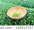 Tea fields in the rain 140415727