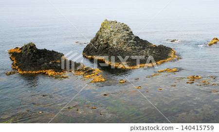 Hokkaido Rebunjima Scoton Cape 140415759