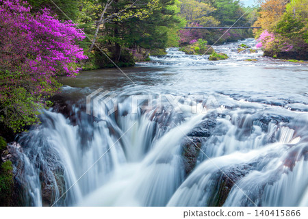 Early summer in Oku-Nikko: Rhododendrons and waterfalls Early summer in Oku-Nikko: Rhododendrons and waterfalls 140415866