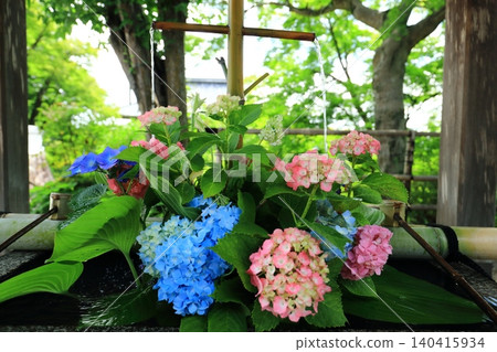 Hydrangea flower hand water Hydrangea flower hand water 140415934