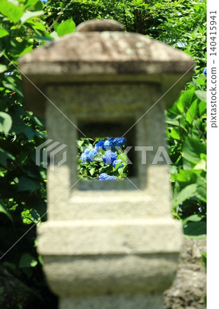 繡球花和石燈籠 繡球花和石燈籠 140415941
