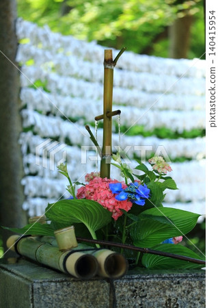 八仙花屬花手水 八仙花屬花手水 140415954