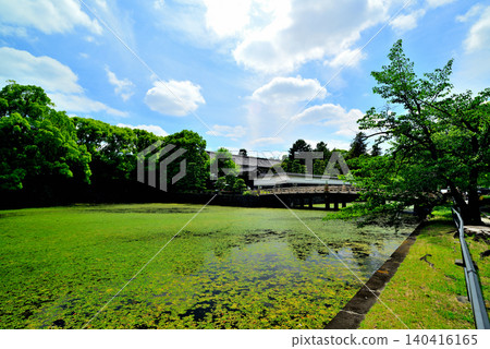 Tokyo: Hirakawa Gate of the Imperial Palace and the surrounding streetscape 140416165