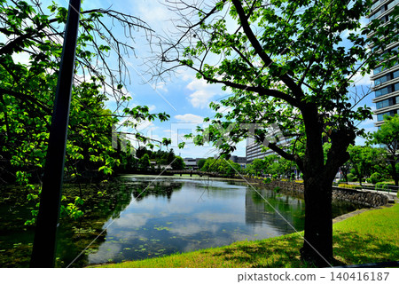 Tokyo: Hirakawa Gate of the Imperial Palace and the surrounding streetscape Tokyo: Hirakawa Gate of the Imperial Palace and the surrounding streetscape 140416187