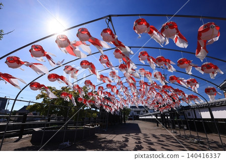 Yanai Goldfish Lantern Festival 3042 Yanai Goldfish Lantern Festival 3042 140416337