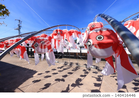 柳井金魚燈籠節 2949 140416446