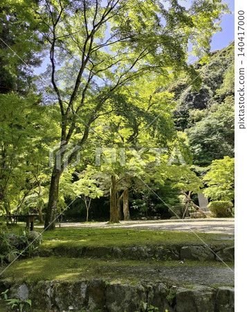 May at Iwakuni Momijidani Park May at Iwakuni Momijidani Park 140417000