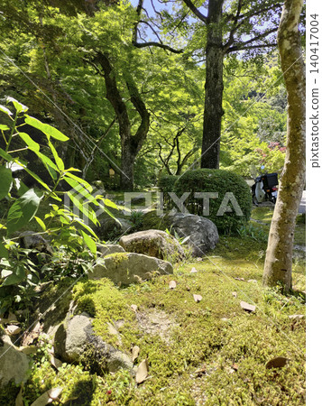 May at Iwakuni Momijidani Park 140417004