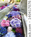 A water basin with colorful floating hydrangeas 140417076