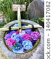 A water basin with colorful floating hydrangeas 140417082