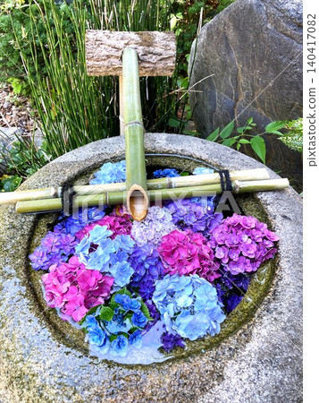 A water basin with colorful floating hydrangeas 140417082