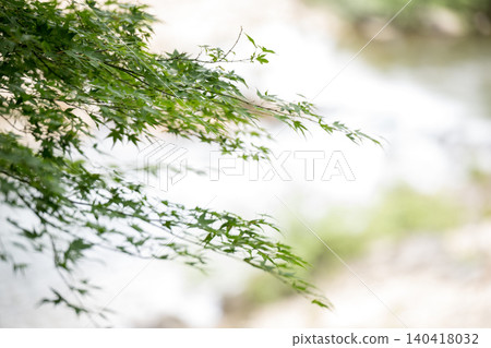 美麗的新鮮綠色景觀與藍色秋葉 美麗的新鮮綠色景觀與藍色秋葉 140418032
