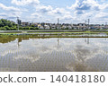 Rice paddy scenery during rice planting season 140418180