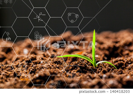 New plants grow in smart farm soil with technology elements in the background New plants grow in smart farm soil with technology elements in the background 140418203