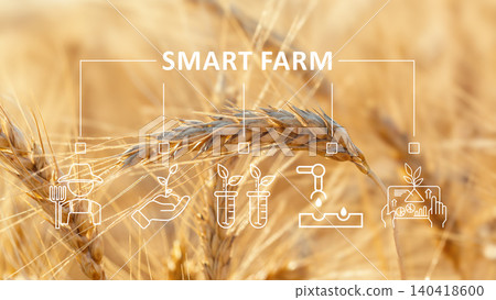Smart farm setup shows technology and agriculture working together for better crop growth Smart farm setup shows technology and agriculture working together for better crop growth 140418600