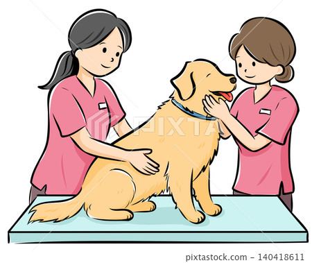 Vector illustration of a large dog (Golden Retriever) receiving a checkup at a veterinary clinic, easy to use on websites and catalogs. Vector illustration of a large dog (Golden Retriever) receiving a checkup at a veterinary clinic, easy to use on websites and catalogs. 140418611